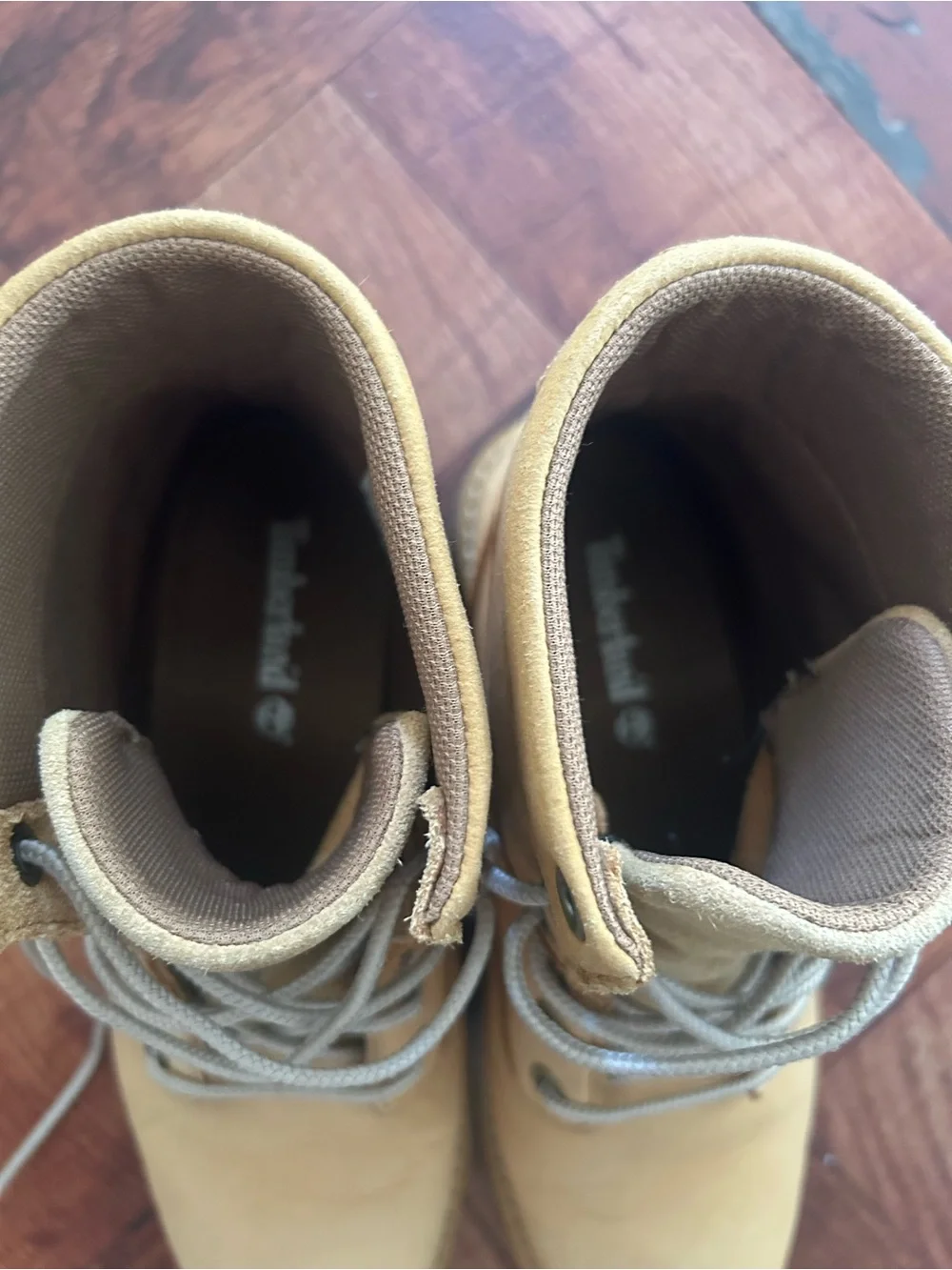 Timberland sturdy tan